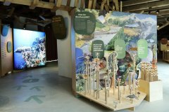 Foto: Universalmuseum Joanneum/J.J. Kucek