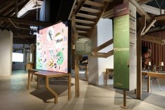 Foto: Universalmuseum Joanneum/J.J. Kucek