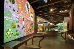 Foto: Universalmuseum Joanneum/J.J. Kucek